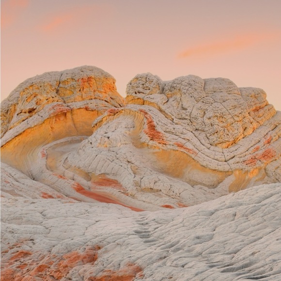 Meet your Posher, Isabel - Picture 1 of 1